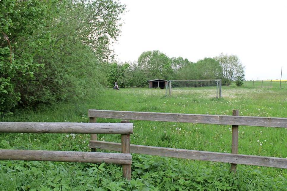 Kniehohes Gras, alte Fußballtore, eine verwitterte Hütte - so sah der Bolz- und Spielplatz in Groß Schlamin noch bis Donnerstagabend aus. (Foto: Lisa Wiekhorst)
