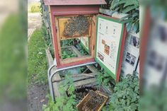 Zum wiederholten Mal ist der Bienenschaukasten in Bad Schwartau Ziel hirnloser Zerstörungswut geworden.
