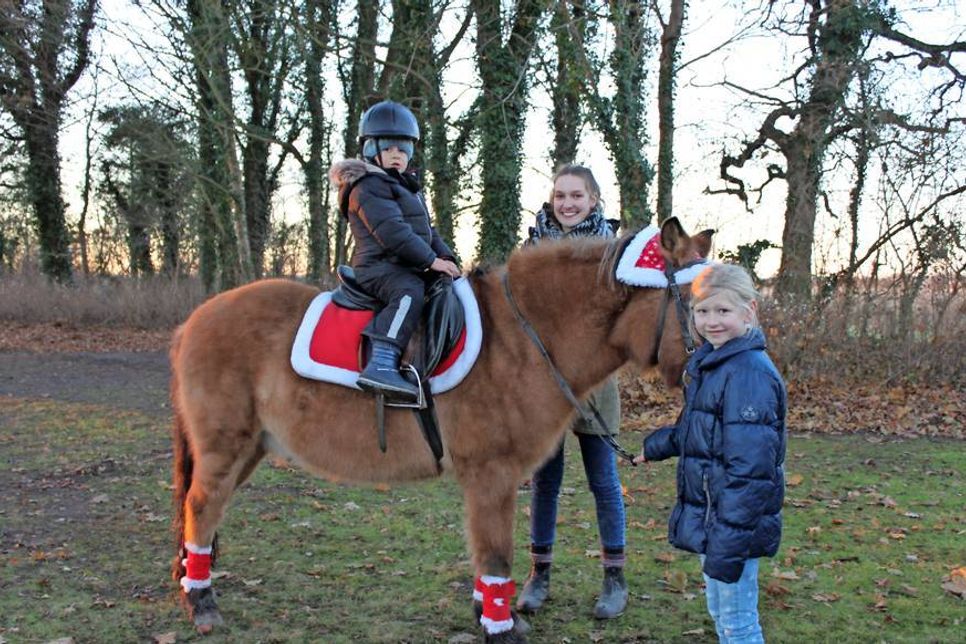 Ponyreiten begeisterte die Kleinen.