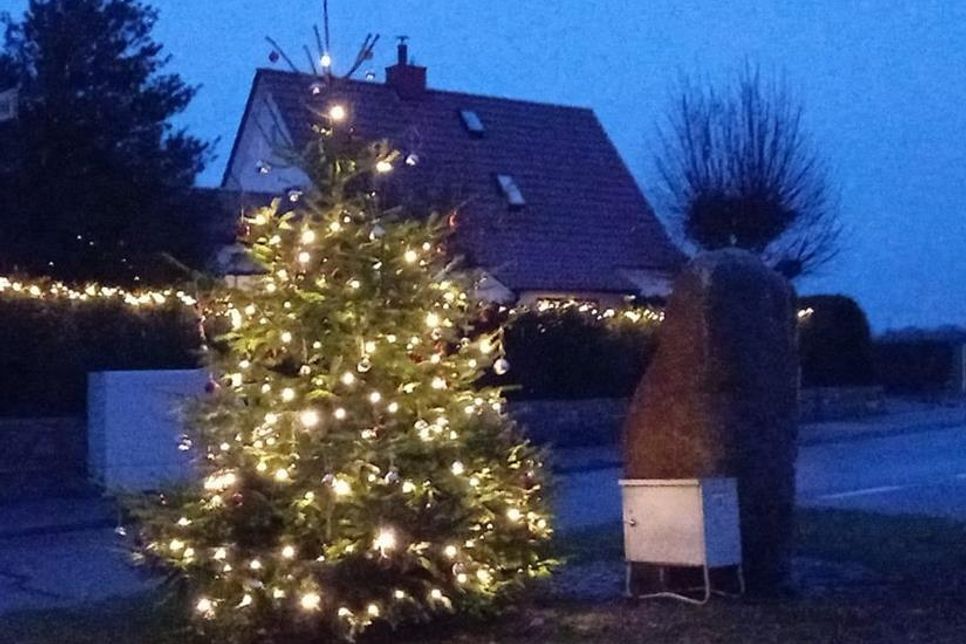 Weihnachtlich geschmückter Tannenbaum.