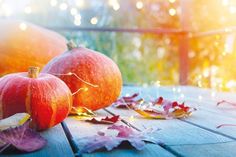 Von Freitag bis Sonntag wird „Indian Summer“ im Niendorfer Hafen zelebriert.