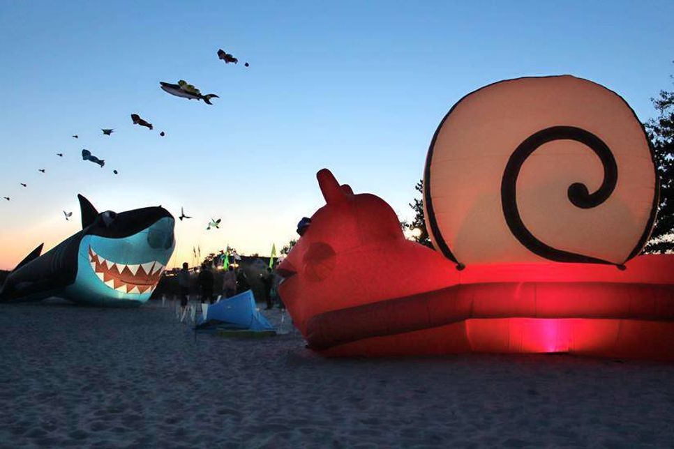 Die 77-jährige Griseldis Asbach gilt als „Mutter Teresa“ der Einrichtung und kümmert sich nicht nur liebevoll um den Garten.