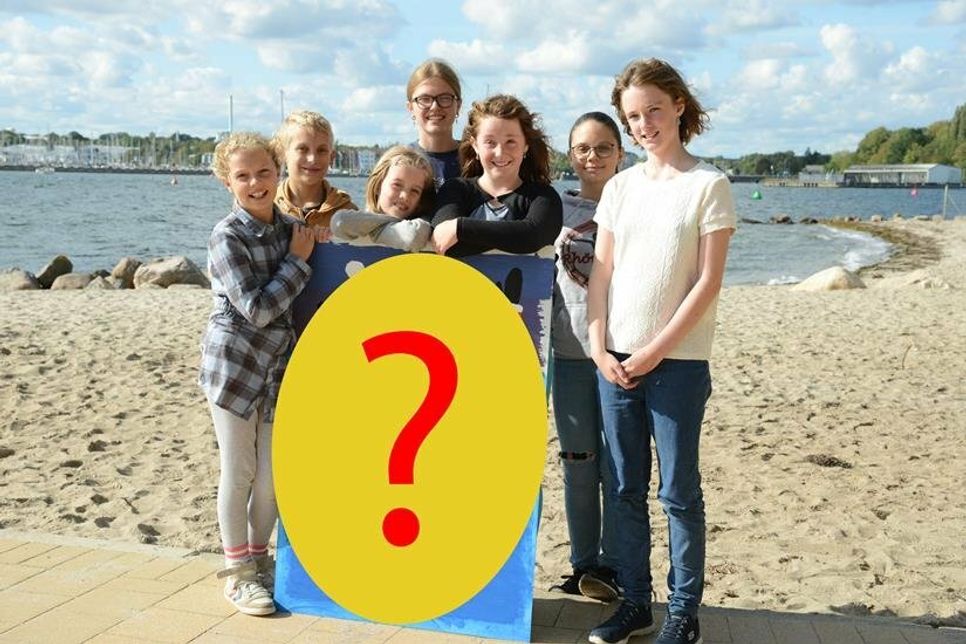 Die Goldgruppe hat schon einmal ganz stolz ihr Werk präsentiert. Offiziell wird das Türchen, hinter dem sich das Bild verbirgt, aber erst am 7. Dezember vor dem Kremper Tor gelüftet.