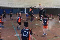 Mit großem Einsatz gingen die Volleyballer des TSV Neustadt in Eckernförde ans Werk.