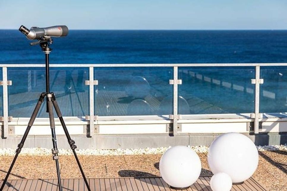 Traum-Ferienwohnung mit Dachterrasse und grenzenlosem Blick auf die Lübecker Bucht.