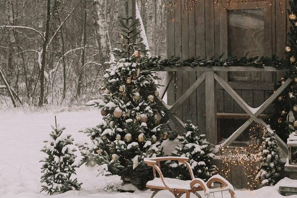 Wald- und Gartenweihnacht der Stifungen der Sparkasse Holstein.