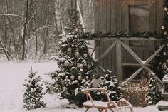 Wald- und Gartenweihnacht der Stifungen der Sparkasse Holstein.