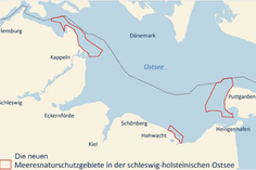 Drei neue Meeresschutzgebiete