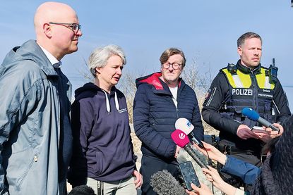 Gestrandeter Buckelwal vor Niendorf/Ostsee: Rettungsversuche laufen