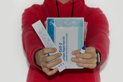 Seit dem 22. März sind die Selbsttests in den Schulen verfügbar.