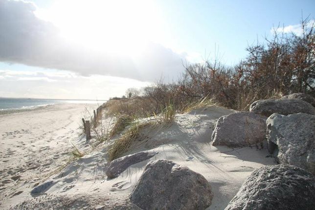 Wunderschön und rau kann unsere Ostsee sein, aber vor allem ist sie eines: einzigartig.