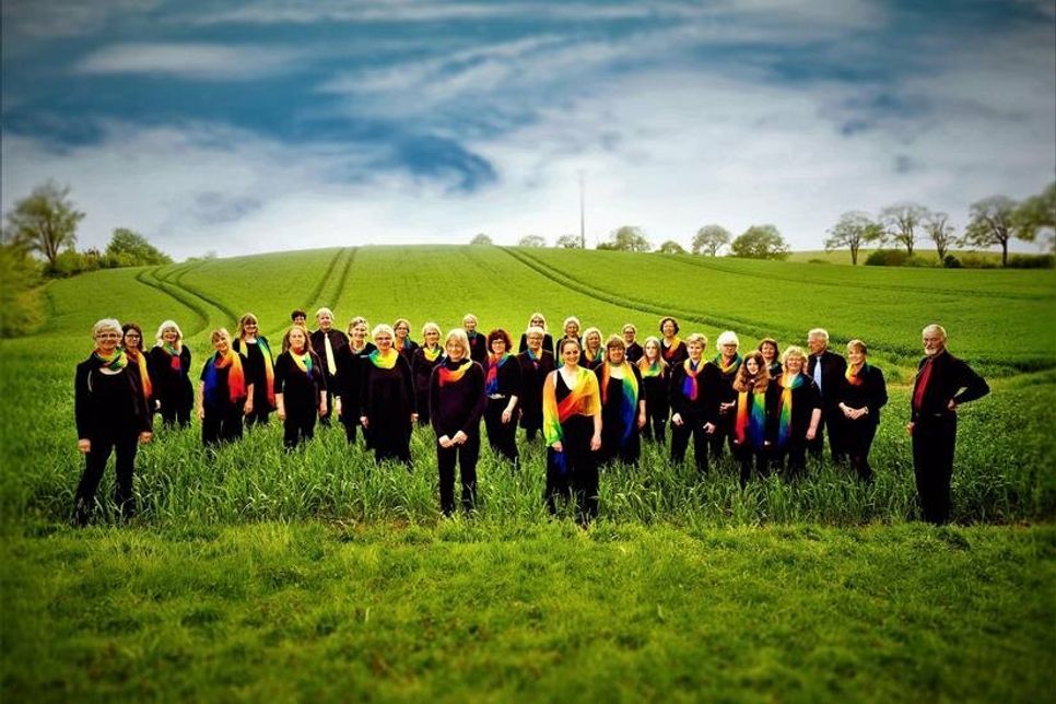 Gospelchor „Voice Company“.