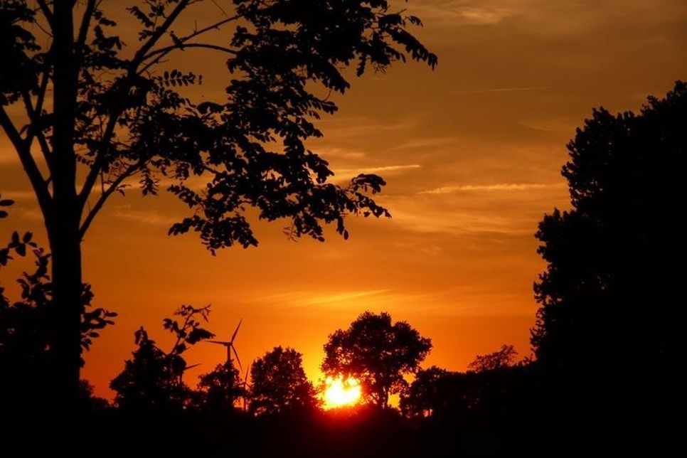 In Grönwohldshorst hat Gerd Lauenstein diesen besonderen Blick auf den Sonnenuntergang festgehalten.
