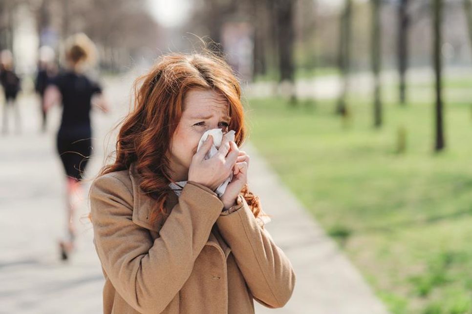 Bei Heuschnupfen kommt es zu einer Überreaktion des Immunsystems auf einige Pollen, zum Beispiel die von Hasel, Erle, Pappel oder Weide. Foto: contrastwerkstatt/stock.adobe.com/vitamindoctor.com/akz-o