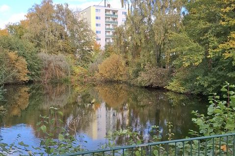 Inzwischen wurde der Teich aus Sicherheitsgründen eingezäunt.