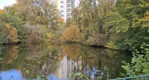 Inzwischen wurde der Teich aus Sicherheitsgründen eingezäunt.