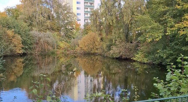 Inzwischen wurde der Teich aus Sicherheitsgründen eingezäunt.