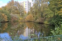 Inzwischen wurde der Teich aus Sicherheitsgründen eingezäunt.