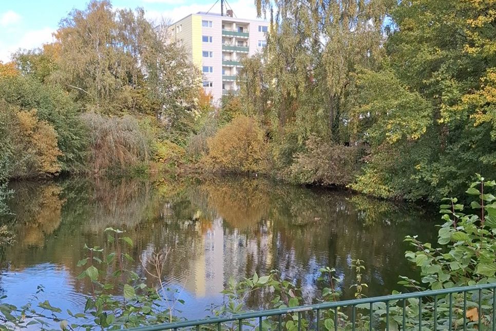 Inzwischen wurde der Teich aus Sicherheitsgründen eingezäunt.