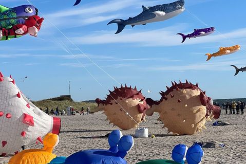 Drachenfest am Südstrand
