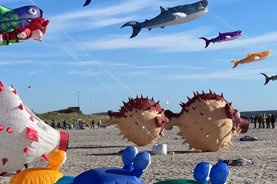 Drachenfest am Südstrand
