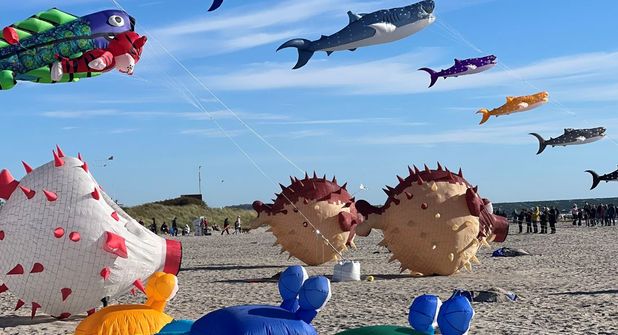 Drachenfest am Südstrand