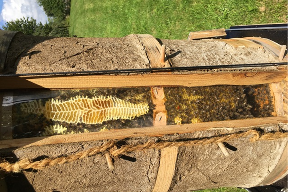 Anke Johannnsen und Joachim Sucker bauen naturnahe Bienenbehausungen aus Holz und Schilf.