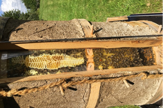 Anke Johannnsen und Joachim Sucker bauen naturnahe Bienenbehausungen aus Holz und Schilf.
