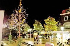 Von kommenden Samstag an bis Mitte Februar leuchten mehr als 150.000 Lichter in Timmendorfer Strand. (Foto: Veranstalter)