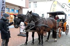 Neustadt. Zur Freude vieler Kinder hat das eska Kaufhaus in Neustadt auch in diesem Jahr wieder eine Kutsche samt Kutscher angemietet. Der Zweispänner der Holsteiner Kutschfahrten GmbH dreht am Samstag, dem 16. Dezember zwischen 13.30 und 15.30 Uhr seine Runden durch die weihnachtlich geschmückte Neustädter Innenstadt. Abfahrt ist vor dem Haupteingang des eska Kaufhauses. Gutscheine für Kinder werden in der Spielwelt und der Kinder-Modeabteilung des Kaufhauses ausgegeben. (red)