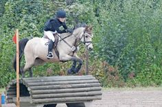Mick Salzmann, RFV Mittelstorman und sein Reitpony Domino-Dancer