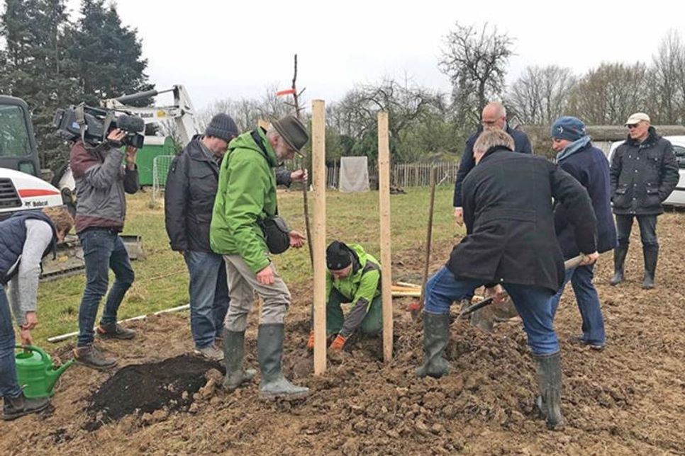Am 28. März 2019 wurde der erste Spatenstich in Groß Meinsdorf getätigt – insgesamt sollen tausend Obstbäume in Schleswig-Holstein angepflanzt werden.
