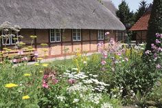 Das Probstei Museum Schönberg bietet eine Fülle an Informationen über Geschichte und Kultur der Region.