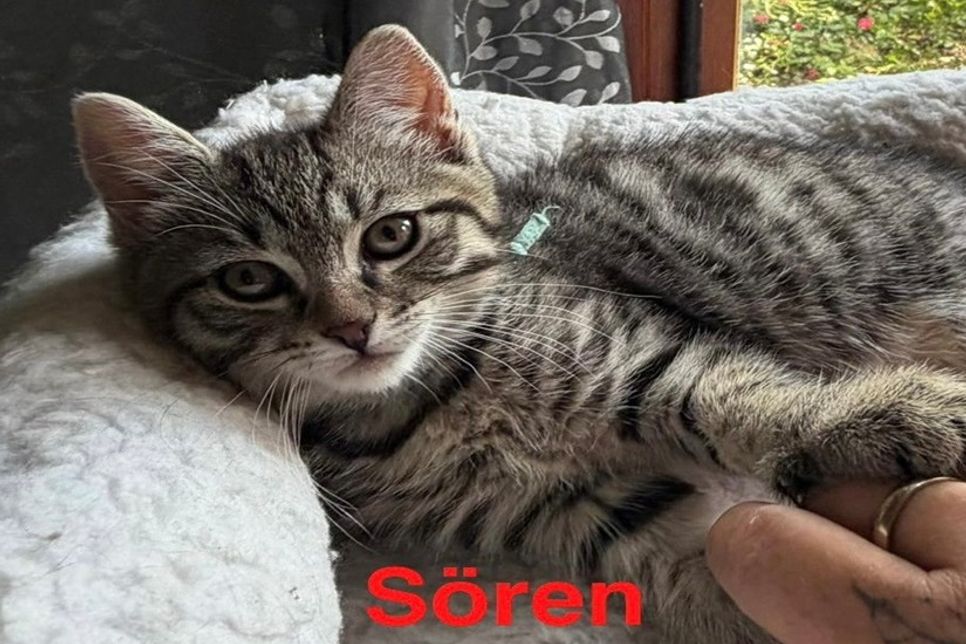 Sören.