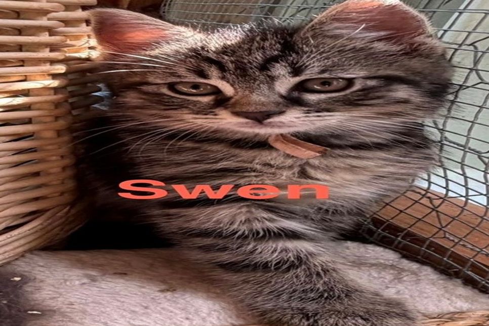 Swen.