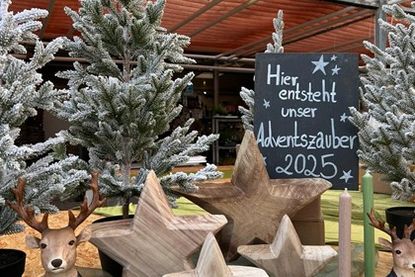 Die Gärtnerei Langfeldt in Lütjenburg lädt ein zum stimmungsvollen Lichterfest.