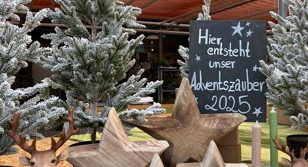 Die Gärtnerei Langfeldt in Lütjenburg lädt ein zum stimmungsvollen Lichterfest.