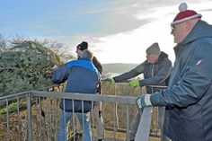 Mit vereinten Kräften wird der Baum über die Rolle gezogen.
