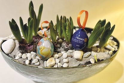 Glückseisuche 2026: Rotary Club setzt starkes Zeichen für Bildung in der Region