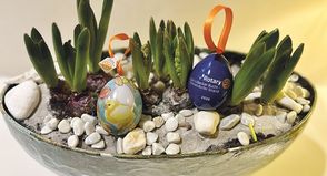 Glückseisuche 2026: Rotary Club setzt starkes Zeichen für Bildung in der Region