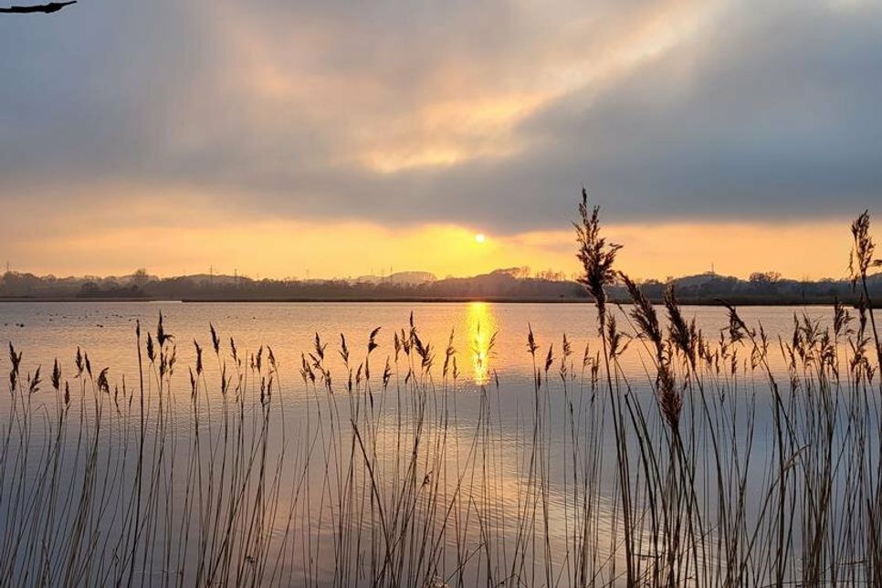 Stimmungsvoll: Kim Neddermeyer (@MeerwehFotos) hat das idyllische Binnenwasser bei Sonnenuntergang in Szene gesetzt, während das Schilf im goldenen Licht erstrahlt.