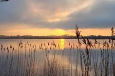 Stimmungsvoll: Kim Neddermeyer (@MeerwehFotos) hat das idyllische Binnenwasser bei Sonnenuntergang in Szene gesetzt, während das Schilf im goldenen Licht erstrahlt.