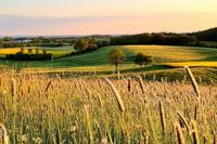Malerischer Anblick: Monika Grebiens Aufnahme zeigt die sanfte Hügellandschaft rund um den Bungsberg mit sattgrünen Hügeln bis zum Horizont.