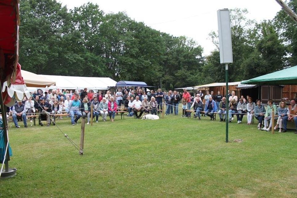 Gespanntes Warten auf den Königsschuss.