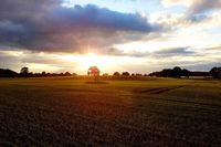 Felder, Bäume und ganz viel Himmel, das ist unser Holsteiner Land, fotografiert bei Bosau von Britta Hillewerth.