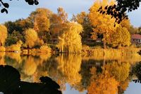 Herbstlicher geht es kaum: Dieses traumhafte Foto vom Eutiner See schickte uns Sigrun Rottscholl Eutin.