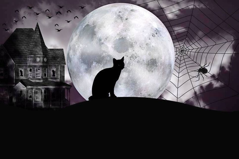 Eine Party zum Feiern und Fürchten startet ab 19 Uhr im Neustädter „Grusel“ Hof.