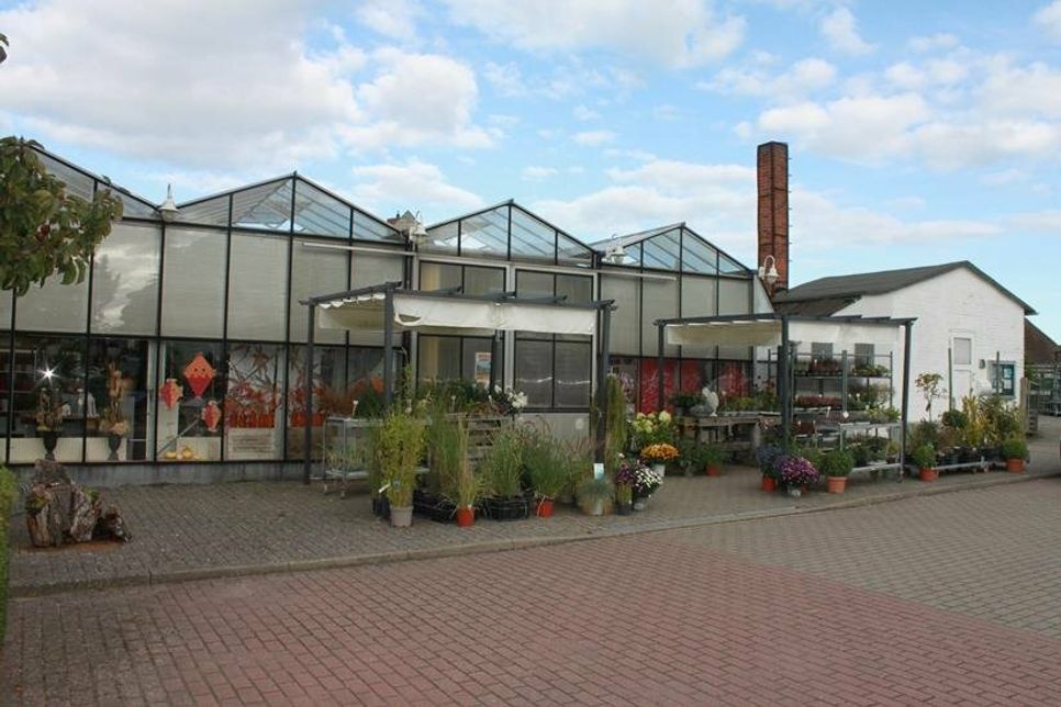 Auf 300 Quadratmetern ist im Nienhagener Weg 6 in Grömitz alles zu finden, wonach das Gärtnerherz sucht.