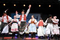 Zeleziar aus der Slowakei.