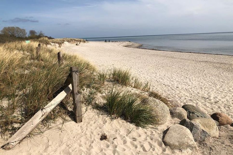 Idylle pur auch in Pelzerhaken am Surfstrand.